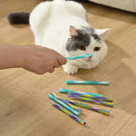 10 PCS Interactive Plastic Colorful Spiral Springs Cat Toy, Color Random - GreenFur