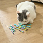 10 PCS Interactive Plastic Colorful Spiral Springs Cat Toy, Color Random - GreenFur