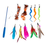 11 Pack Cat Feather Wand Toy Set with Telescopic Rod and Interchangeable Attachments - GreenFur