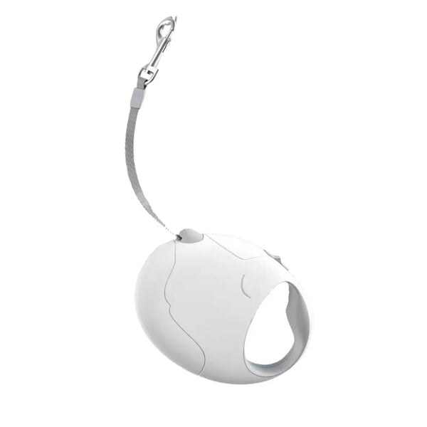 16.4ft Round Retractable Pet Leash for Small Dog - GreenFur