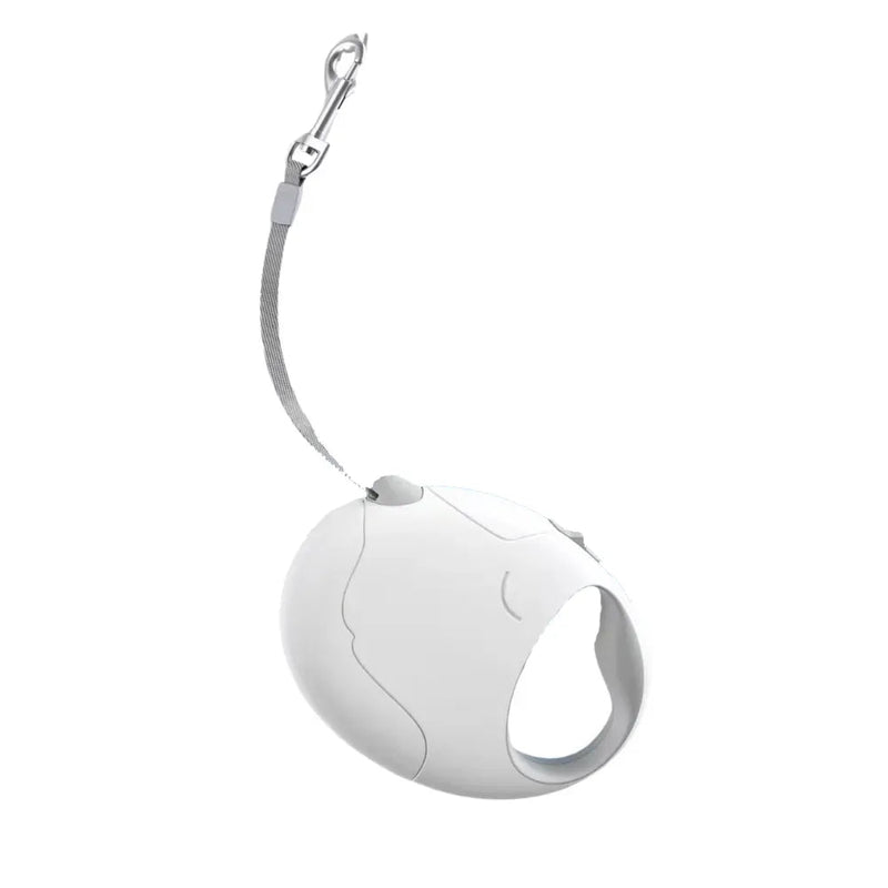 16.4ft Round Retractable Pet Leash for Small Dog - GreenFur