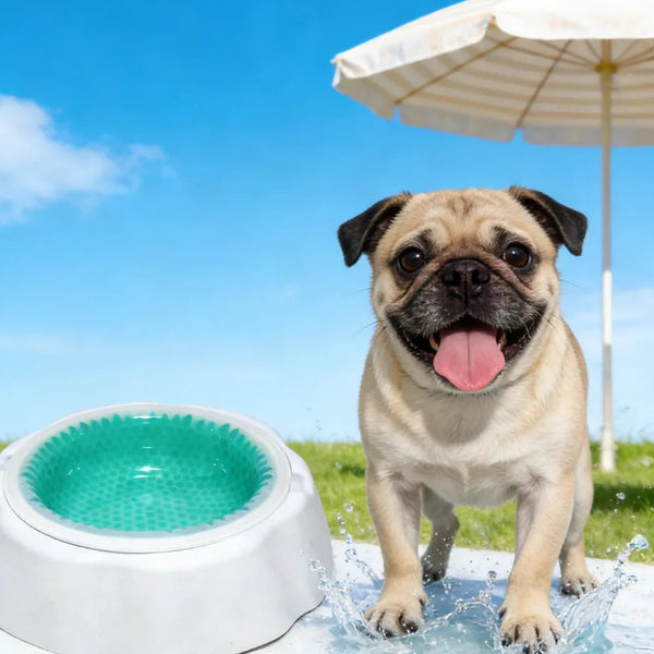 2 - Color Option PP Cooling Pet Summer Bowl - GreenFur
