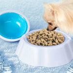 2 - Color Option PP Cooling Pet Summer Bowl - GreenFur