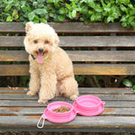 2 in 1 Dog Bowl Portable Collapsible Pet Food and Water Double Dog Bowl for Camping - GreenFur