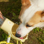 2 - in - 1 Portable Leak Proof Pet Water Bottle and Feeder with Strap - GreenFur
