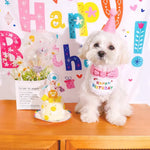 2 Pack Birthday Party Costume Hat and Bib Set - GreenFur