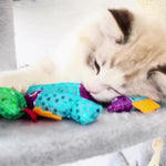 2 Pack Durable Bite - Resistant Glitter Fish Felt Cat Toy - GreenFur