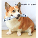 2 Pack Interactive Durable Chew Sound Newspaper Crinkle Dog Toys - GreenFur