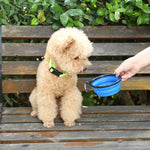 2 Pack Portable Pet Bowl for Walking Parking Traveling Collapsible Silicone Dog Food Water Bowl - GreenFur
