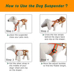 2 Pack Reflective Adjustable Pet Dog Diaper Harness with Straps - GreenFur