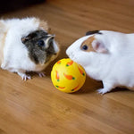 2 Pcs Small Pet Treat Dispensing Ball Training Snack Toys for Rabbit Guinea Pig - GreenFur
