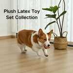 2 - Piece Set Plush Cream - topped Coffee and Latex Cake Dog Toy Set - GreenFur