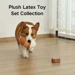 2 - Piece Set Plush Cream - topped Coffee and Latex Cake Dog Toy Set - GreenFur
