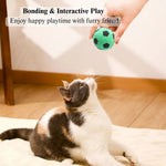 24 Pack Latex Foam Cat Toy Ball Soccer Shape Interactive Chase Self Play Toy - GreenFur