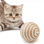 24 Pcs Box Interactive Sisal Ball Toy Durable Scratch - Resistant Cat Play Toy - GreenFur