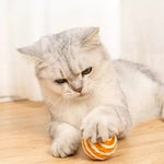 24 Pcs Box Interactive Sisal Ball Toy Durable Scratch - Resistant Cat Play Toy - GreenFur