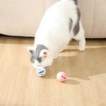 2Pcs Bag Pet Kitten Bell Catnip Ball Play Cat Hollow Ball Toy - GreenFur