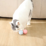 2Pcs Bag Pet Kitten Bell Catnip Ball Play Cat Hollow Ball Toy - GreenFur
