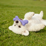 2PCS Dog Bone and Ball Rubber TPR Chewing Toy Bundle Play Gift Set - GreenFur