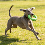 2PCS Dog Bone and Ring Foamed TPR Chewing Toy Bundle Play Gift Set - GreenFur