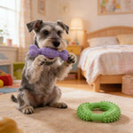 2PCS Dog Bone and Ring Foamed TPR Chewing Toy Bundle Play Gift Set - GreenFur