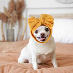 2pcs Packed Cute Large Pet Bow Headband Head Cover for Dog and Cat - GreenFur