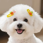 3 as Pack No - Slip Resin Hair Clip Cute Pet Hair Accessory for Dogs and Cats - GreenFur