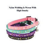 3 Pack Collar Harness Leash for Cats and Dogs - GreenFur