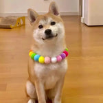 3 Pack Colorful Cute Pom - Pom Cat Collar Dog Necklace - GreenFur