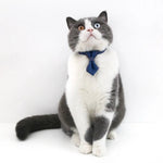 3 Pack Denim Bow Tie Collar with Adjustable Neck Strap for Cats and Dogs - GreenFur