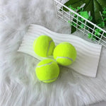 3 Pack Interactive Training Pet Fetch Ball Tennis Ball Dog Toy - GreenFur