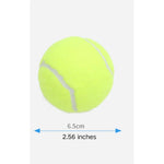 3 Pack Interactive Training Pet Fetch Ball Tennis Ball Dog Toy - GreenFur