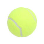 3 Pack Interactive Training Pet Fetch Ball Tennis Ball Dog Toy - GreenFur
