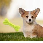 3 Pack TPR Pet Toothbrush Stick Durable Dog Bone Chew Toy, Random Color - GreenFur