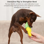 3 PCS Packing Carrot Eggplant Corn Vegetable Dog Squeaky Chew Toys - GreenFur