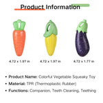 3 PCS Packing Carrot Eggplant Corn Vegetable Dog Squeaky Chew Toys - GreenFur