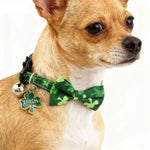 3 PCS St Patrick Day Clover Pet Collar Bow Tie Bandana Three Piece Set with Bell - GreenFur