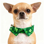 3 PCS St Patrick Day Clover Pet Collar Bow Tie Bandana Three Piece Set with Bell - GreenFur