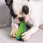 3 Piece Pack Summer Squeaky Chew TPR Cooling Frozen Dog Toy Sets - GreenFur