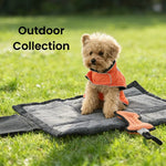 3 - Piece Set 2XL, 3XL Size Orange Dog Outdoor Collection - GreenFur