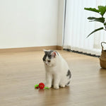 3 - Piece Set Colorful TPR Cat Chasing Toy with a Plush Tail - GreenFur