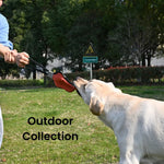 3 - Piece Set L, XL Size Orange Dog Outdoor Collection - GreenFur