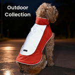 3 - Piece Set L, XL Size Orange Dog Outdoor Collection - GreenFur