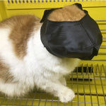 3 Sizes Breathable Mesh Cat Muzzle for Grooming - GreenFur