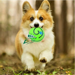 3.5" or 3.9” Interactive and Squeaky Dog Toys Ball - GreenFur