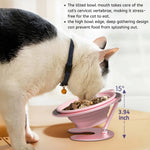 350ML Dog Friendly Tilted Elevated Dog Silicone Bowl with Aluminium Alloy Stand - GreenFur