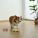 4 - Color Assorted Beef Flavor Bone Style Foamed TPR Dog Chewing Toy - GreenFur