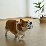 4 - Color Assorted Beef Flavor Foamed TPR Dog Chewing and Treating Toy - GreenFur