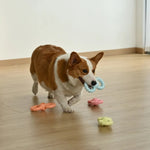 4 - Color Assorted Beef Flavor Foamed TPR Dog Chewing and Treating Toy - GreenFur