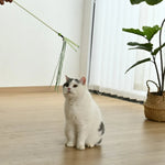 4 - Color Assorted Elastic Mesh Cat Teaser Wand with Tassel and Bell - GreenFur